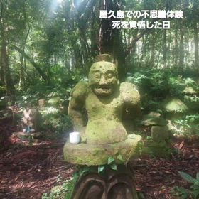 屋久島での不思議体験②の画像