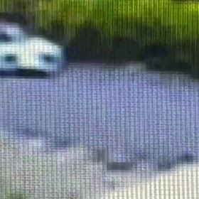 じわじわ寄せて　Σ('◉⌓◉’)の画像