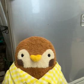 霜だらけの画像