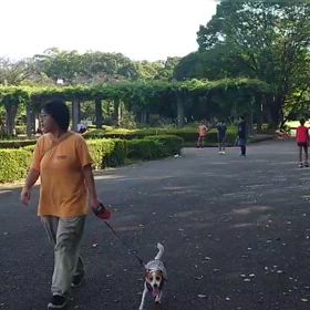 9/14 リレー選考会㉕の画像