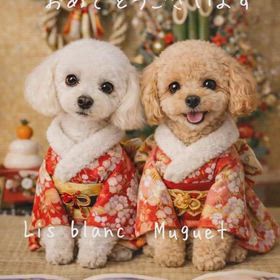 明けましておめでとうございますの画像