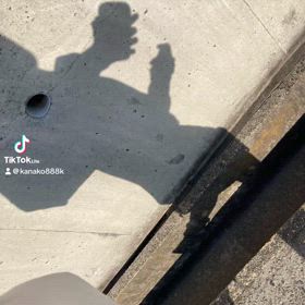 昼下がりの画像