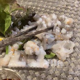 サンナクチの画像