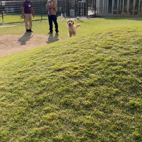 ホッとしました(°▽°)の画像