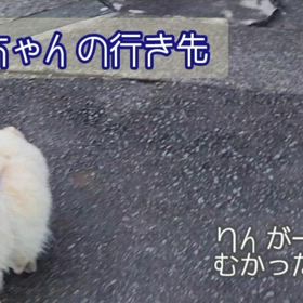 てんかんの事　～てんかん専門医　３回目の診察～の画像