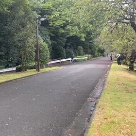 9/16 リレー選考会②の画像