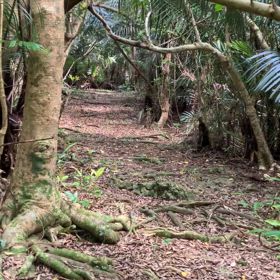 フドー御嶽の画像