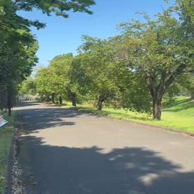 リレー選考会（7/21）の画像