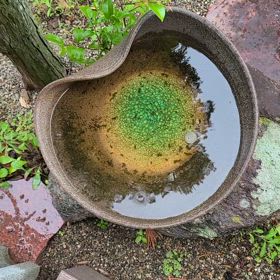 こんにちは。(6月14日)の画像