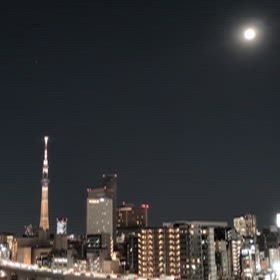 スカイツリーの画像