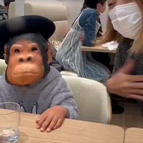 チンパンジーがいたの画像