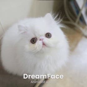 ういちゃんであそぼ〜の画像