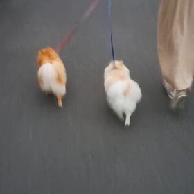 ふたり一緒に♪の画像
