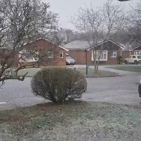 とても寒いの画像