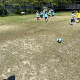 SS夏合宿86の画像
