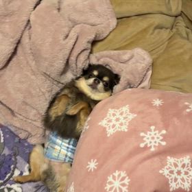 腰が痛い〜足が熱々〜！の画像