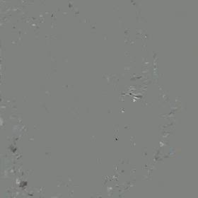 ナラちゃん退院しました！の画像