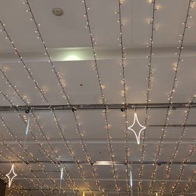 今日はいつ？　【ボタニストの殺人　上】の画像