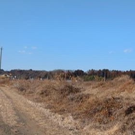 忍たま乱太郎ラッピング車の画像