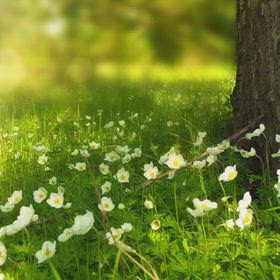 【潜在意識】毎日「いい気分」でいるのに・・人間関係が上手くいきませんの画像