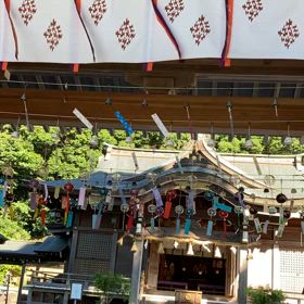 夏の音色の画像