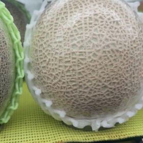 本日取り扱っている品々パート2の画像