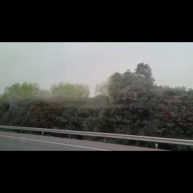 2024/03/18の画像