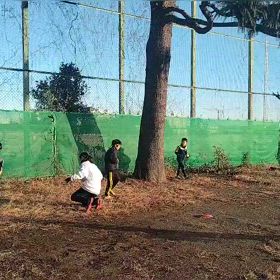 1/11 基本動作（ボール投げ）②の画像