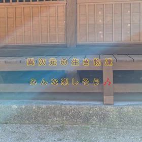 "異次元"　神社に居た生き物達　ビュｯ!の画像