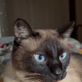 高齢一人暮らし叔母に起きたトラブルの画像