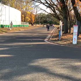 県駅伝最終選考会④の画像
