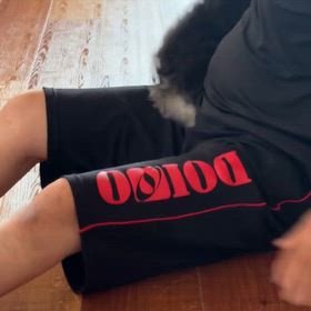 頑張るこむぎの画像