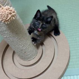 10月20日（月）の画像