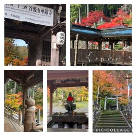 紅葉狩りの画像