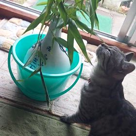 おはようございます♪♪10日。の画像