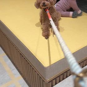 帰るのいや〜の画像