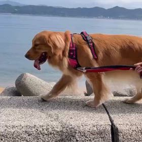 また、思い出が増えたね。の画像