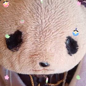 ひなまつり(*  ˊ꒳ˋ*)の画像