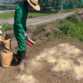 ♦️畑の肥料♦️の画像