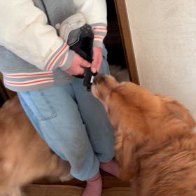 頑張れ‼️の画像