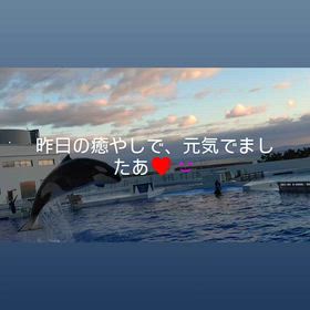 しあわせの画像