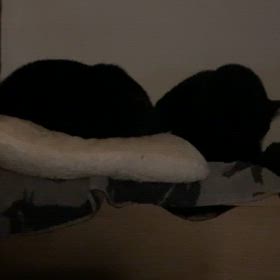 とりあえずの画像