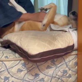 石岡八郷ベースの画像