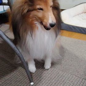 ローズさんの画像