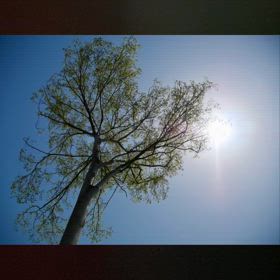 どうせ癖を治す為に、気持ちを強く持てるようになろう　♡の画像