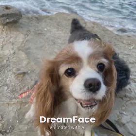 笑いの時間の画像