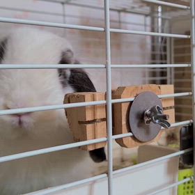 一緒に勉強を始めませんか。の画像