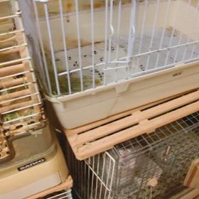 ただいま️の画像