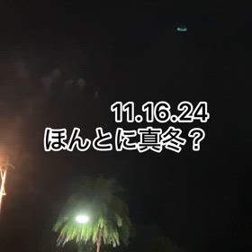 真冬に夏の風物詩？の画像