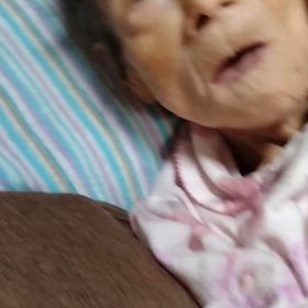 知りません!の画像